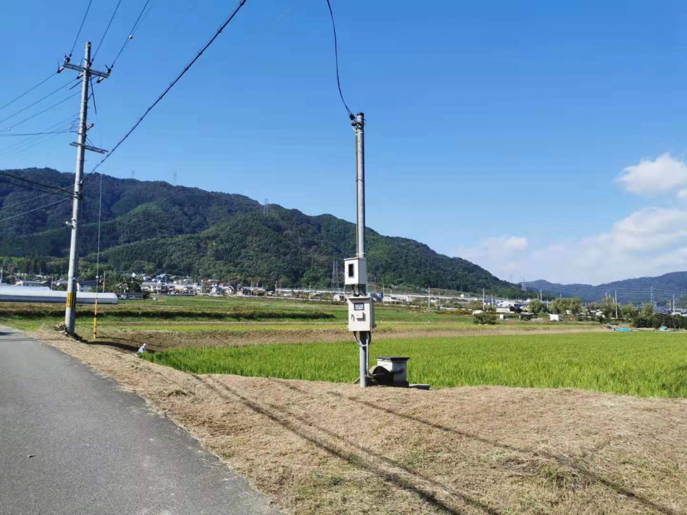 青山个个伸头看