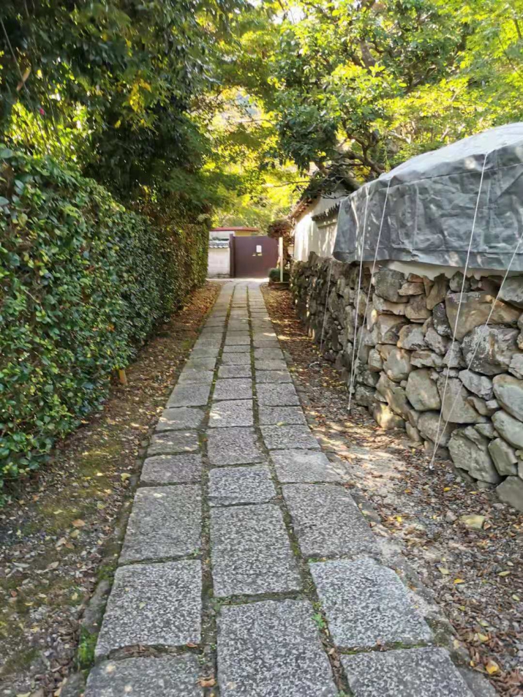 愿德寺前小径