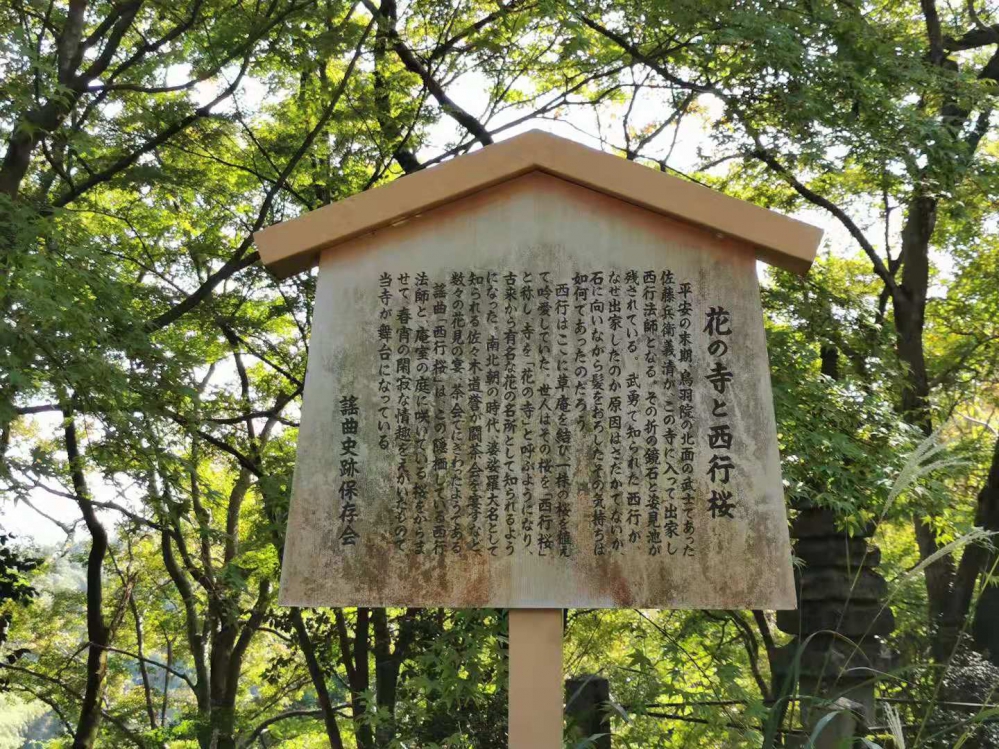 花之寺与西行樱木牌