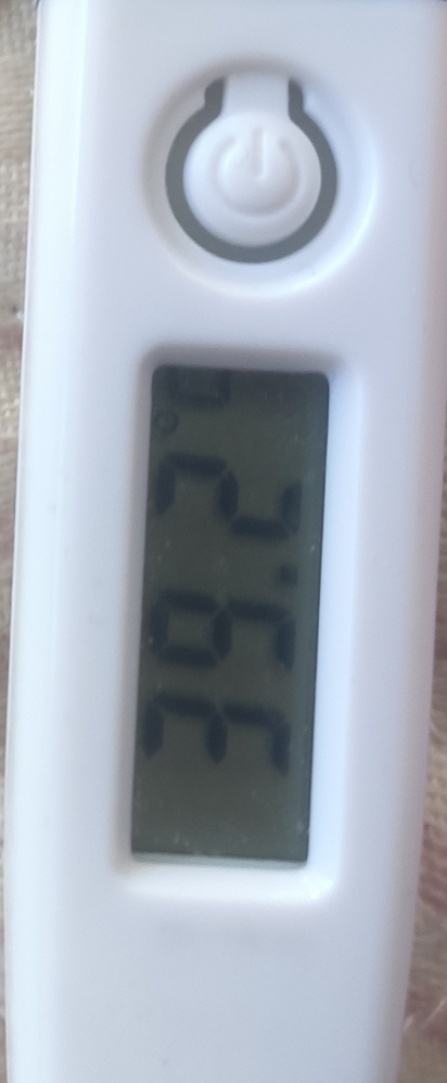 免疫系统杀疯了