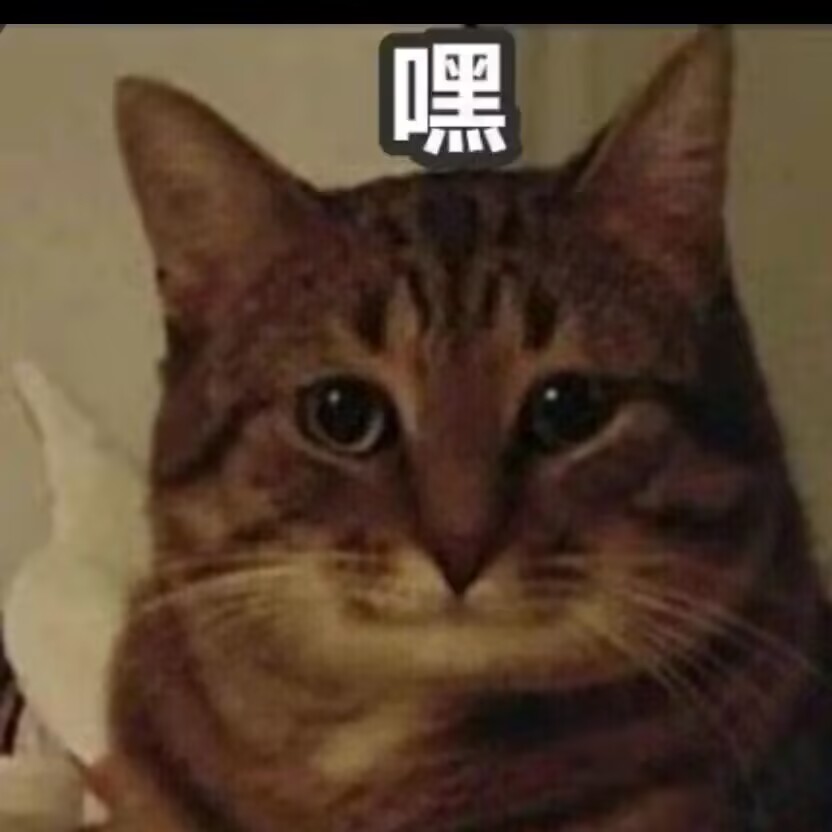 猫猫图