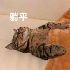 睡了