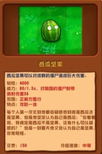 西瓜朗朗