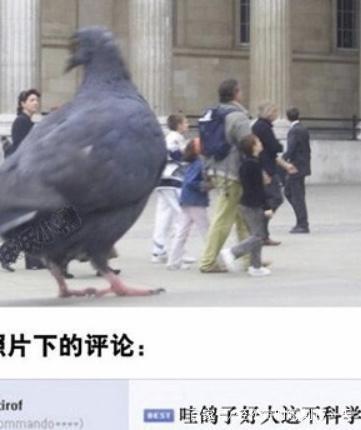 你知道我想说什么