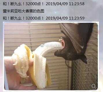 蕾米莉亚吃大香蕉