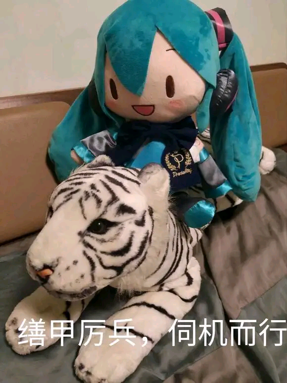伺机而行