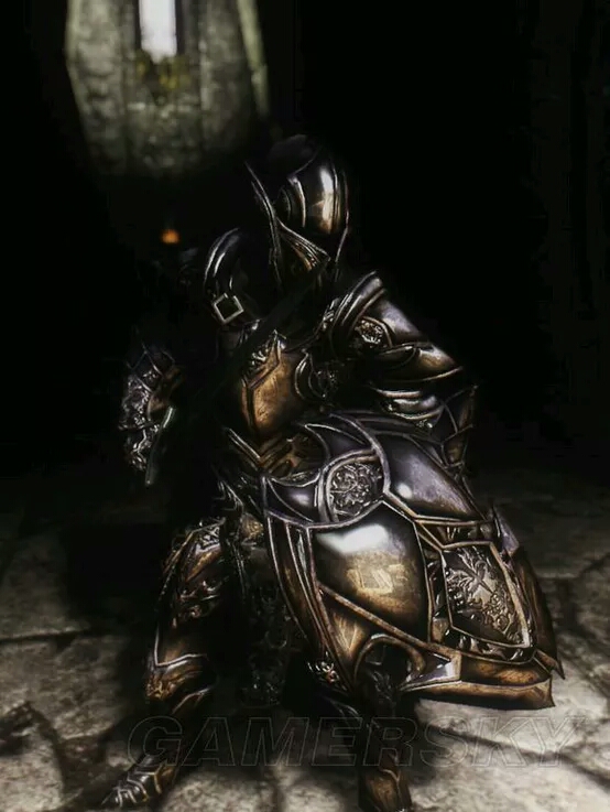 抢劫晚餐的黑色盔甲