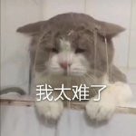 惨