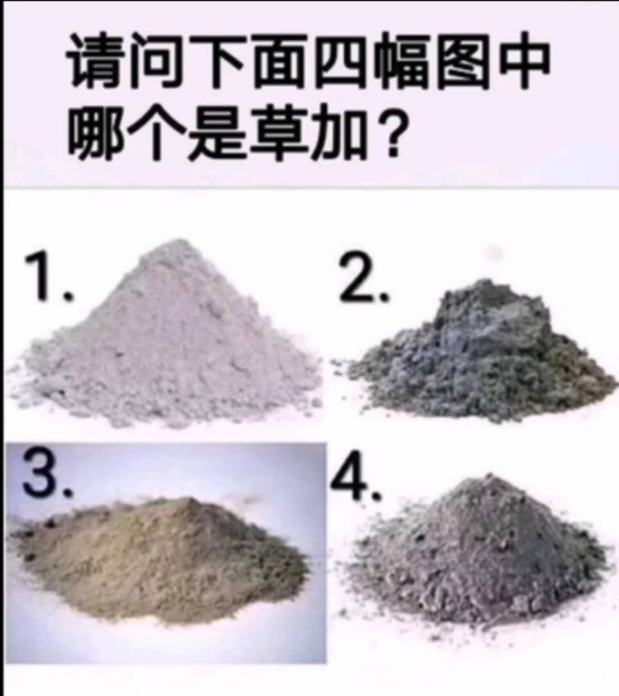 提问