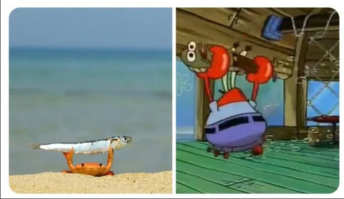 艺术来源于生活