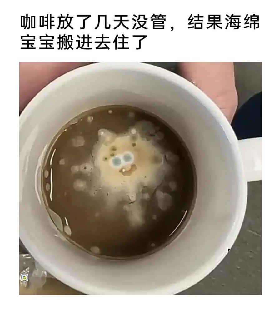乐