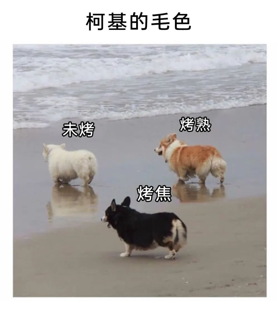 乐