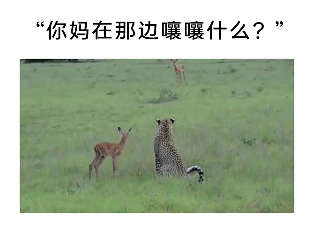 乐