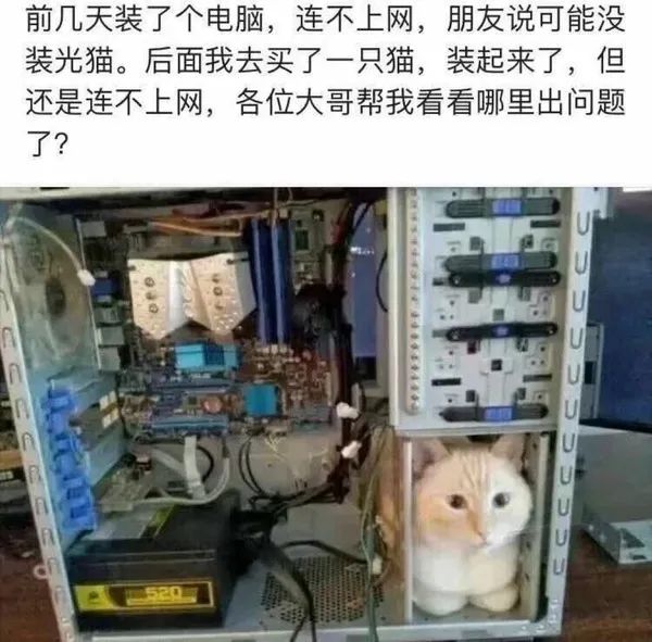 乐