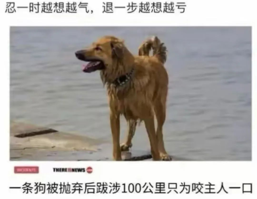 乐