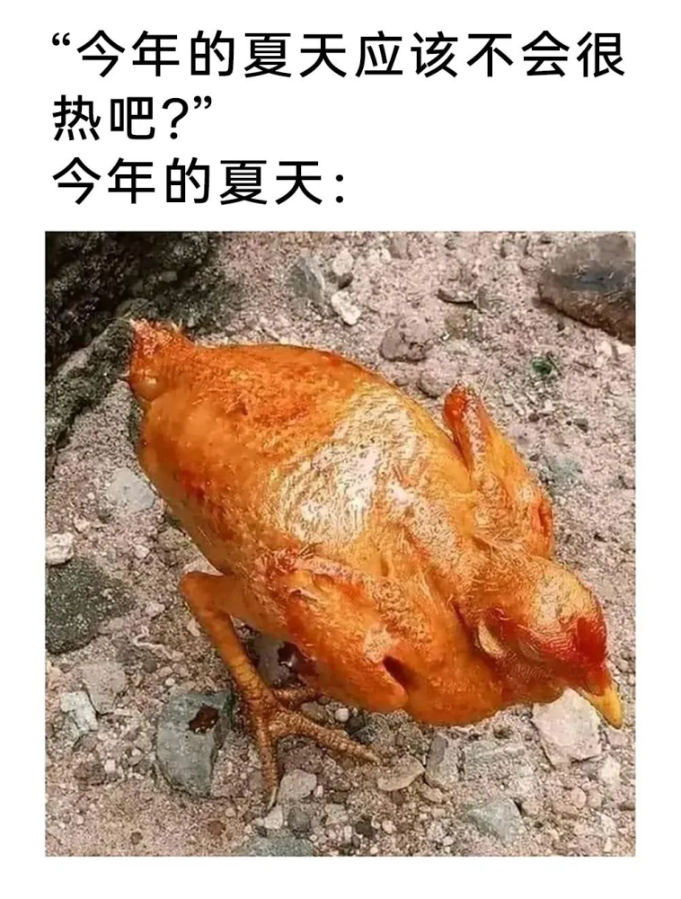 乐