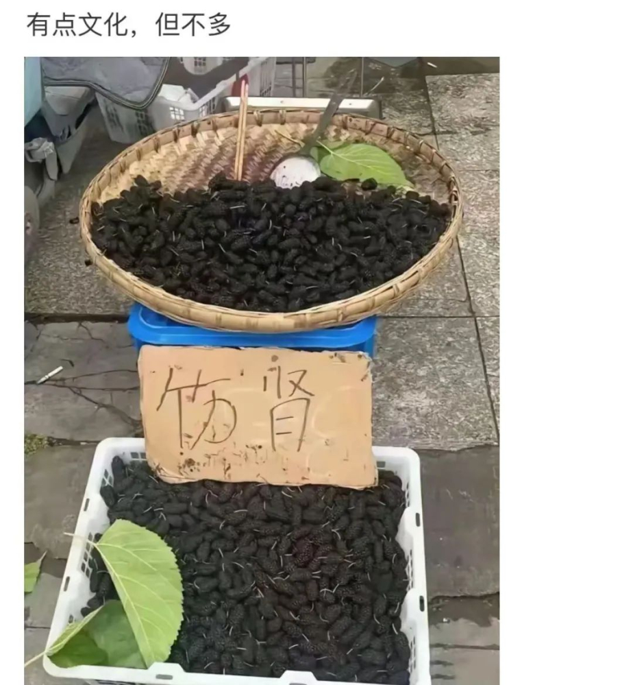 乐