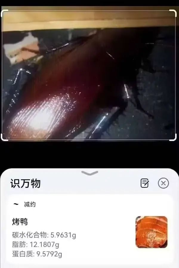 乐