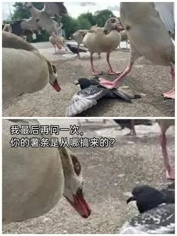 乐