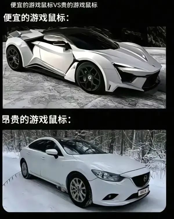 真实