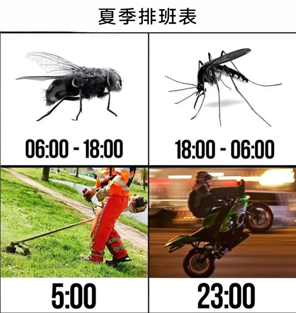 乐