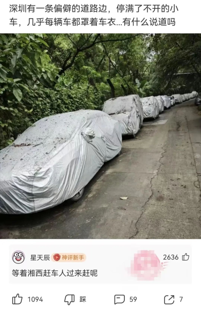乐