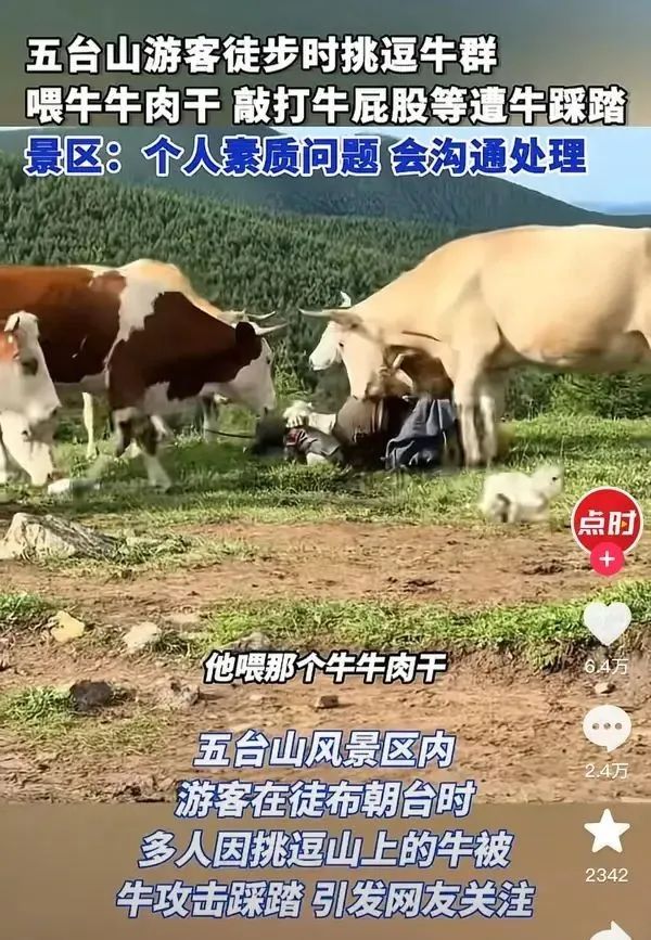乐