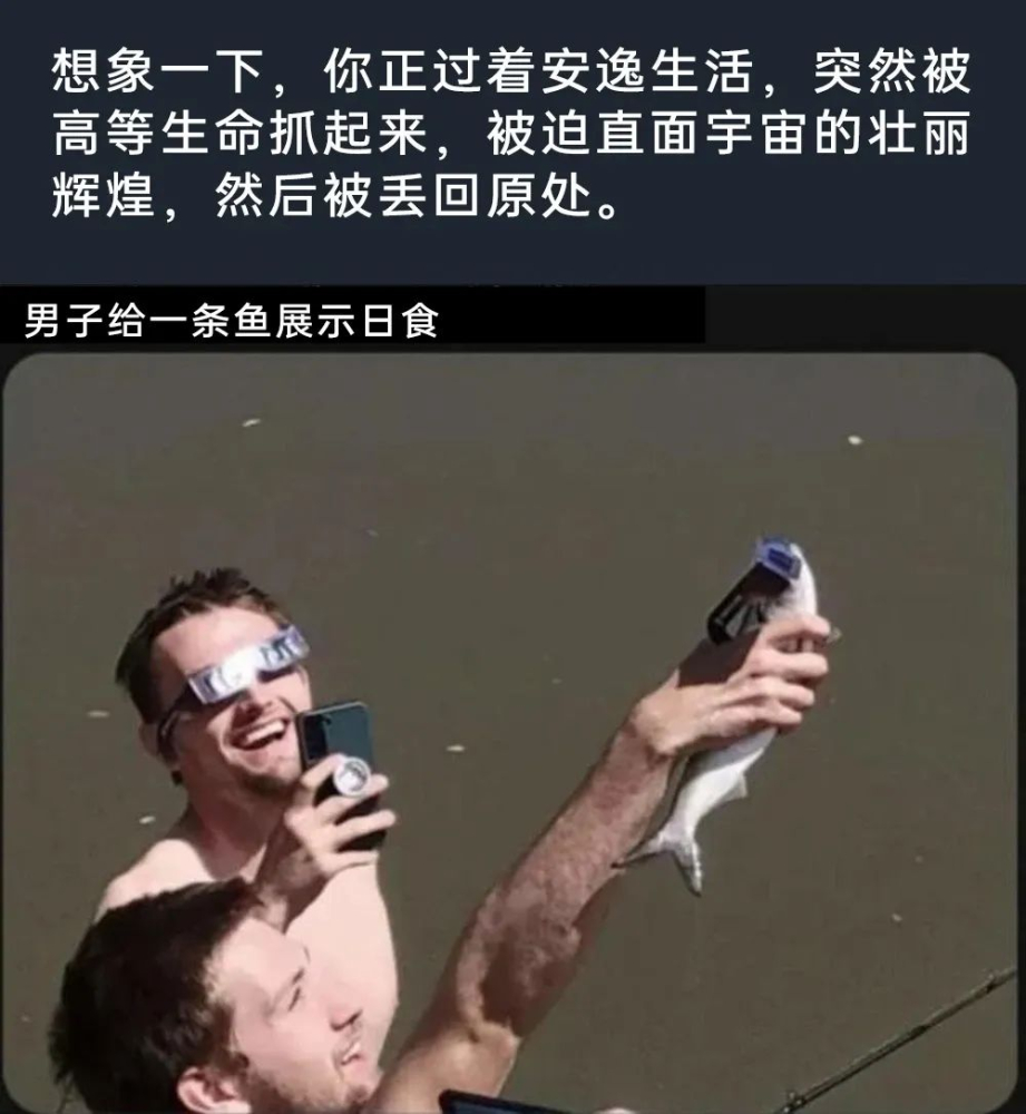 乐