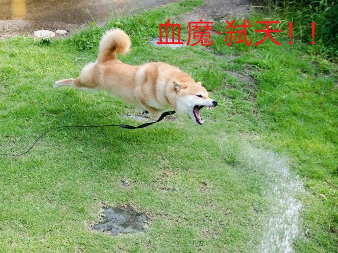 请原谅我的怠惰