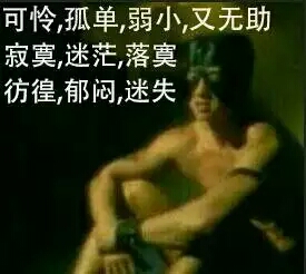 孤单弱小又无助
