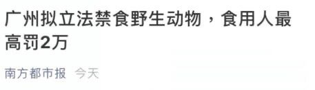 哈哈哈哈