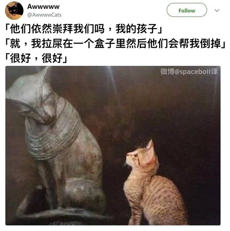 太对了