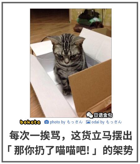 喵喵
