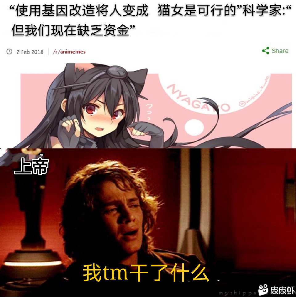 啧啧