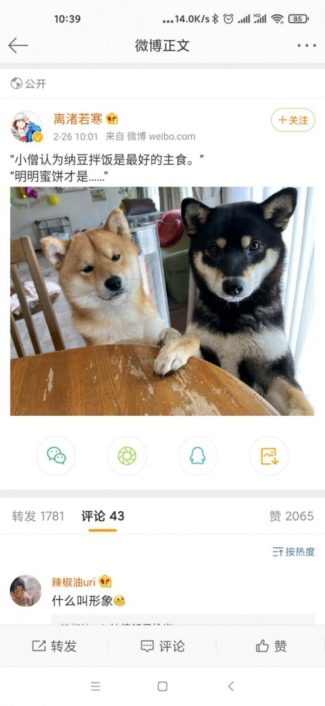 即视感