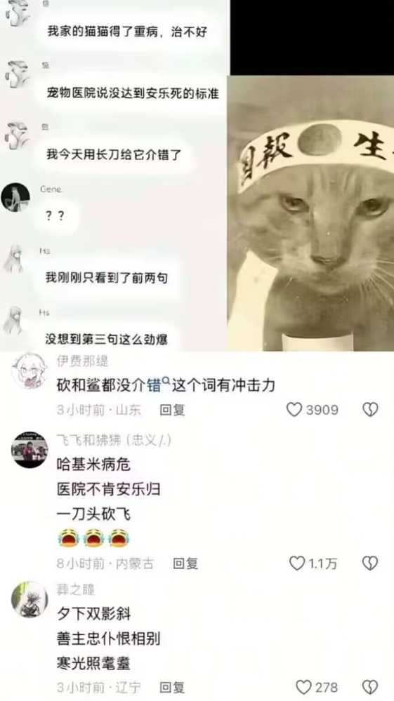 每日叼图