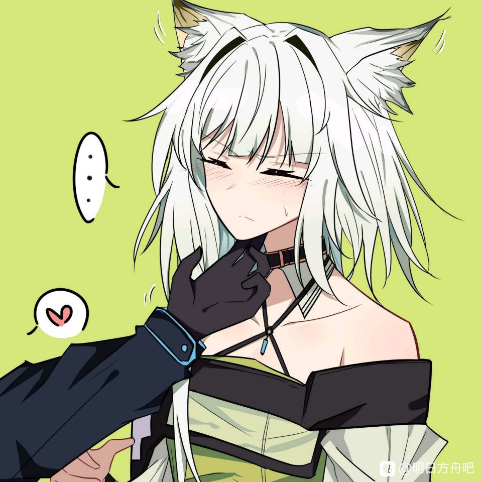 逗猫