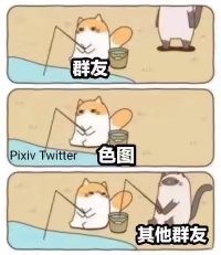 所以建议直接发我
