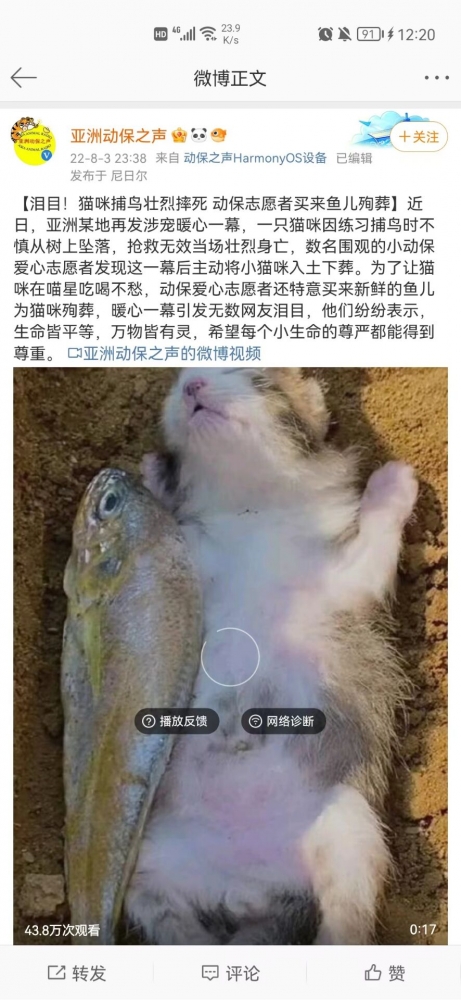 什么毛病