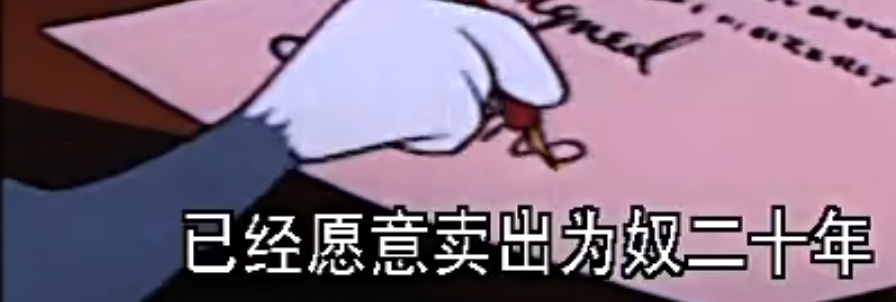 为奴二十年