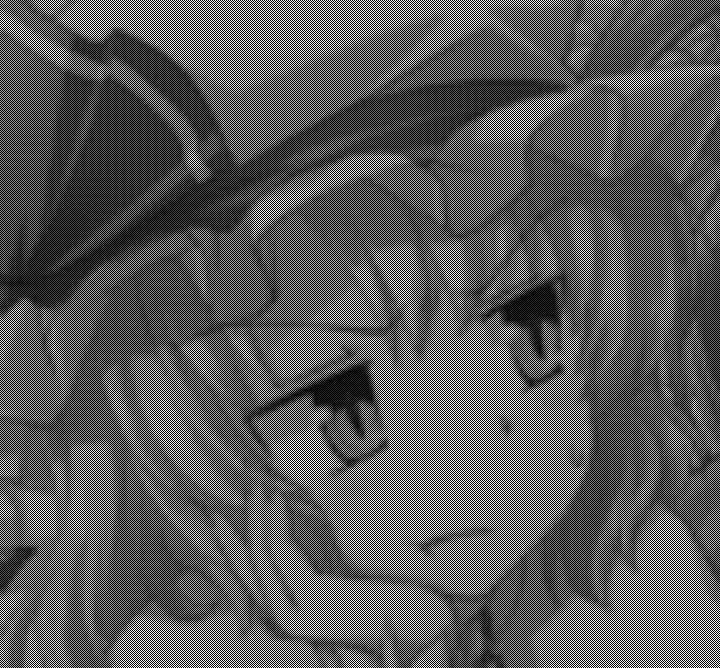 蕾米莉亚