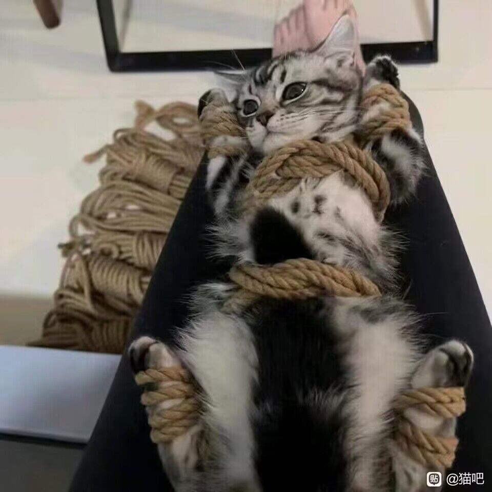 今日图片