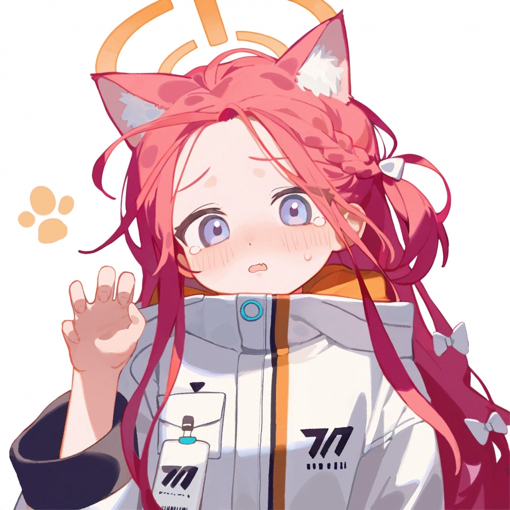 猫耳柚子