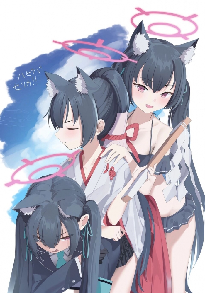 猫的变化