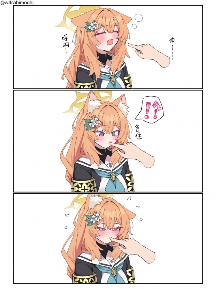 猫猫修女