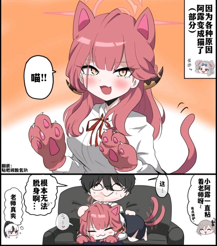 猫猫阿露