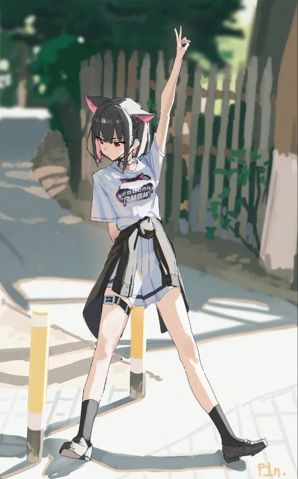 肥猫