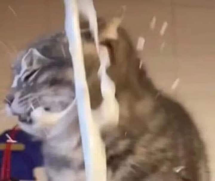 一模一样1