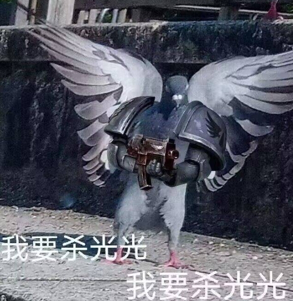 机巧鸟的最佳进化路线