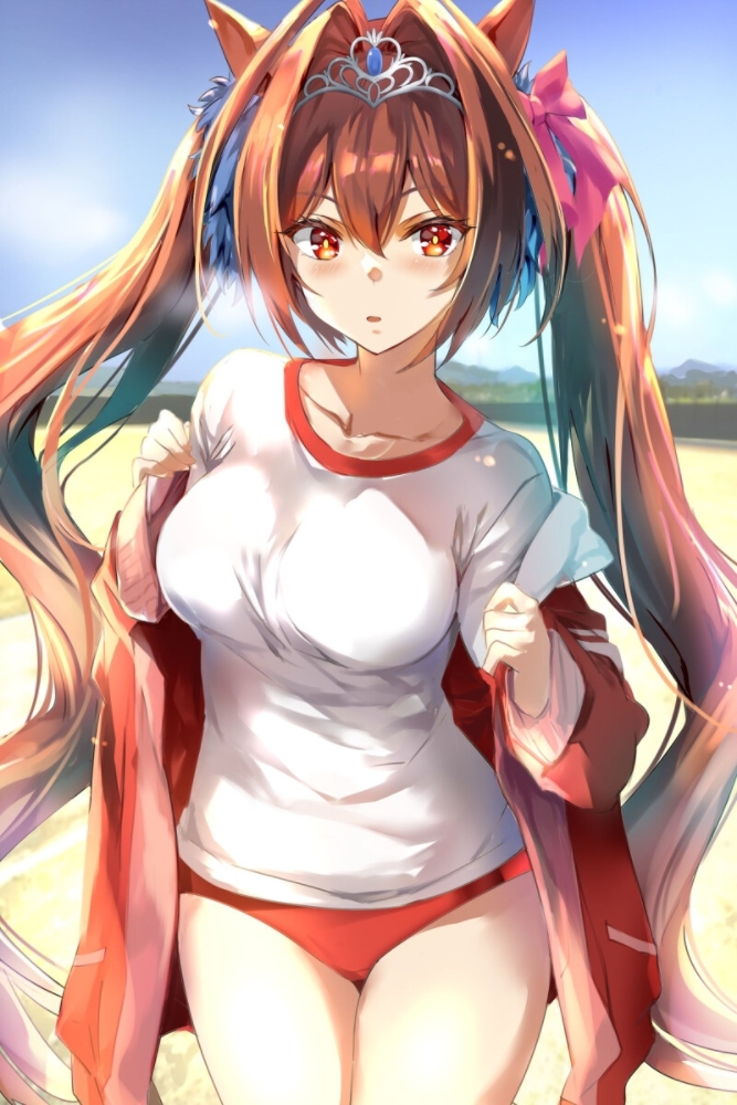 我好想和大和赤骥